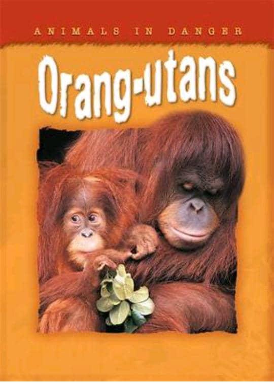 Animals In Danger: Orangutans – Educational Children’s Book