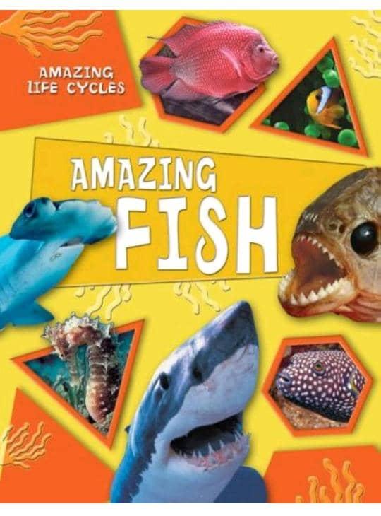Amazing Life Cycles: Amazing Fish