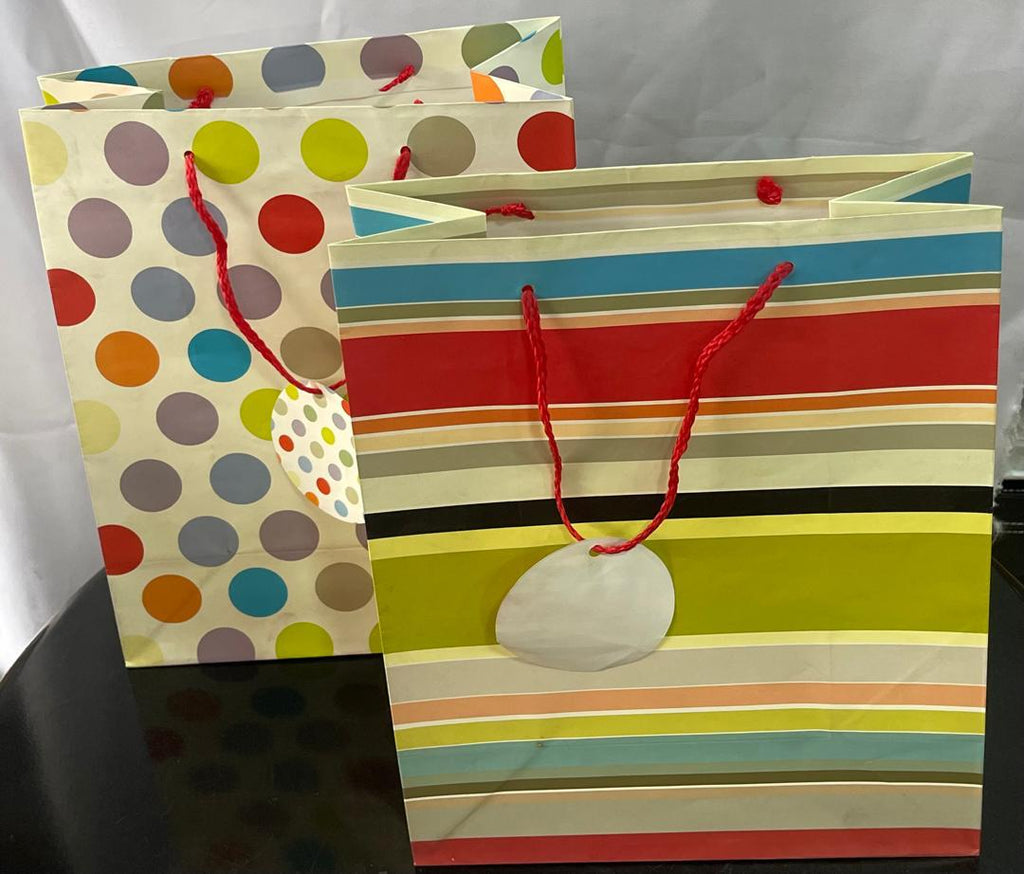 2-in-1 Multicolor Stripe & Polka Dot Medium Gift Bag