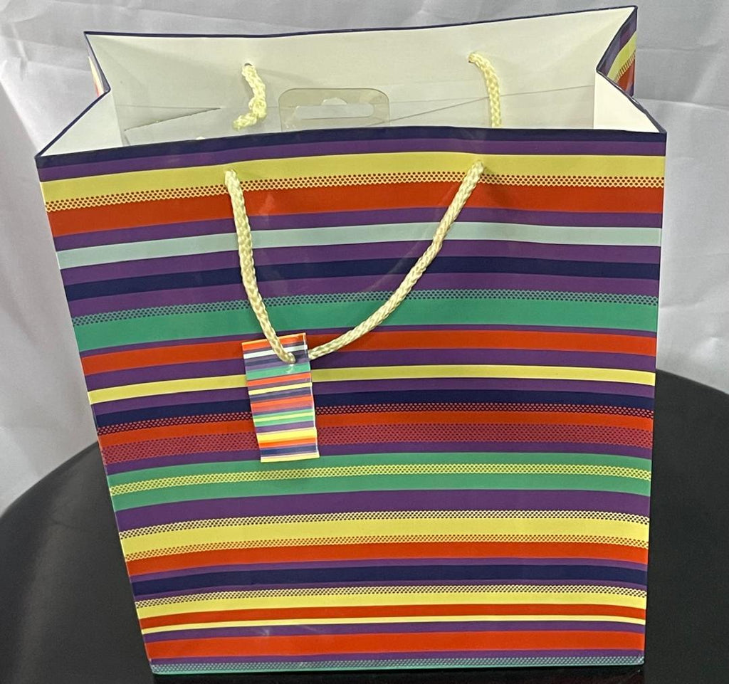 Rainbow Stripes Medium Gift Bag