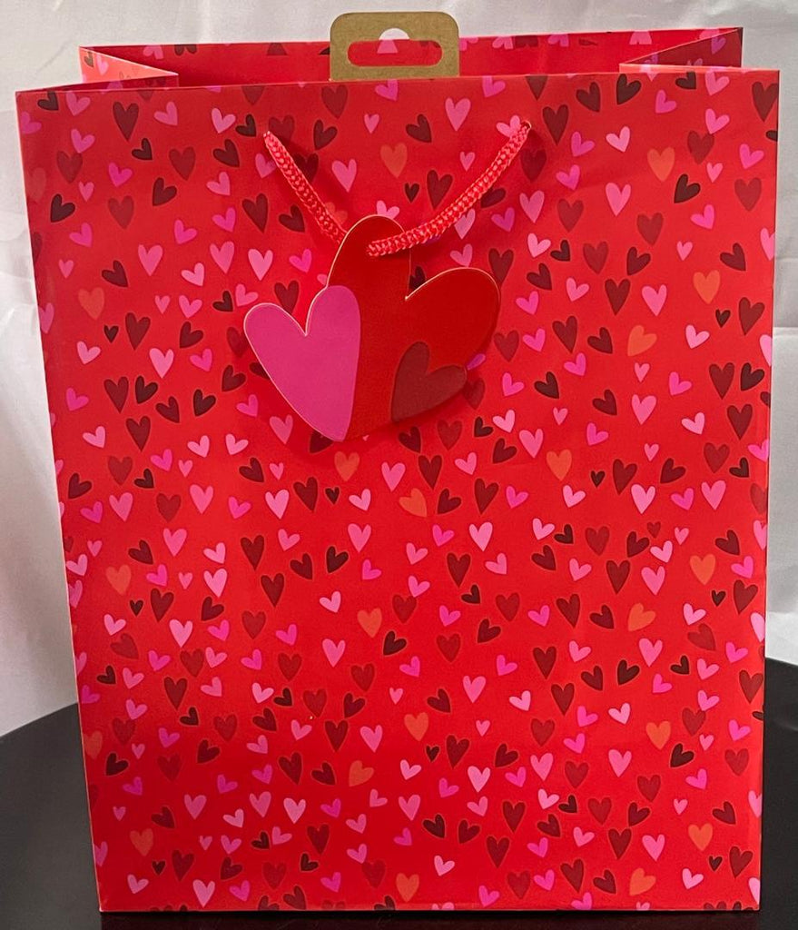 Eurowrap Medium Gift Bag – Love Little Hearts Design (#1500)