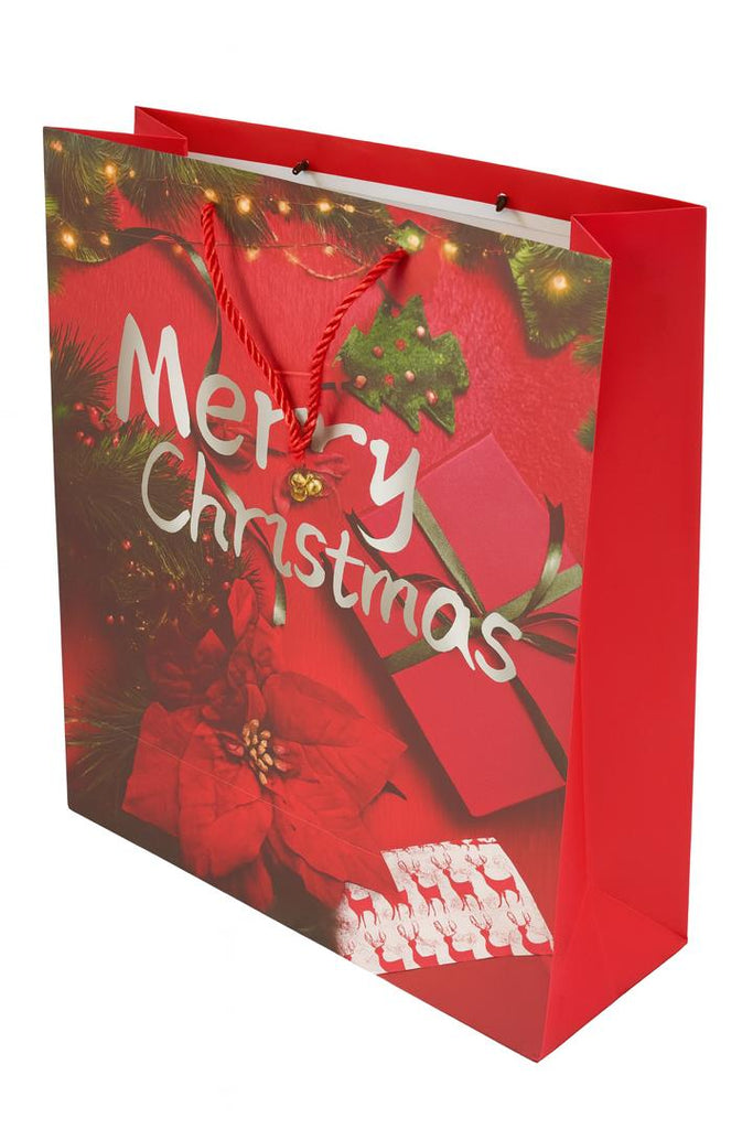 Merry Christmas Gift Bag
