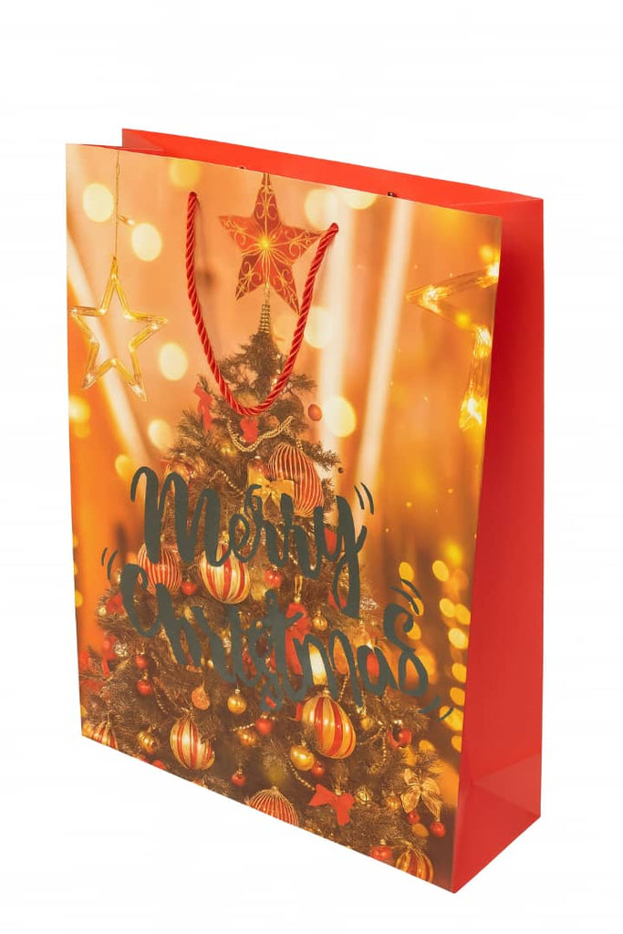 Merry Christmas Gift Bag