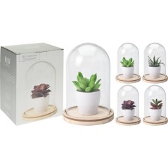 Artificial Plant With Glass Do...